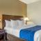 Comfort Inn & Suites Orange County John Wayne Airport - Santa Ana