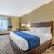 Comfort Inn & Suites Orange County John Wayne Airport - Santa Ana