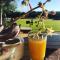 Olive Grove Guest Farm - Beaufort West