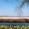 Hotel Lowietje Lisse - Keukenhof