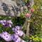 Capers Cottage and Barn Accommodation