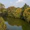 Chinese Garden Arome Tea House