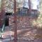 Apple Bear Cabin