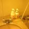 Hotel Crown Hills Kokura