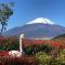 Mount Fuji Castle 2 - Yamanakako