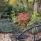 Abbey House - 3BR/sleeps 8 - South Leura