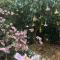 Adelaide Hills B&B Accommodation