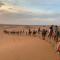 Erg Chegaga nomad tour - Mhamid