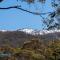 Mosswood 2 - Thredbo