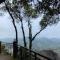 Munnar Tea Hills Resort - MTHR