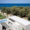 Artemis SeaFront Villa, an Evanescence Sea Retreat, By ThinkVilla - Tavronitis