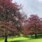 Enchanted Retreats at West Ford Devon