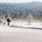 Lapland Hotels Ounasvaara Chalets