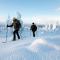 Lapland Hotels Ylläskaltio