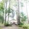 Mendocino Grove