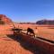 Milky Way Bedouin Camp
