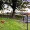 Penny End, Mosser - Western Lakes and great walks