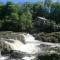 Cottage by the river in Cenarth with fishing and Wifi - Cenarth
