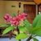 Long Beach Garden Resort