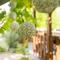 Sunny Garden