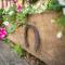 Sunny Garden