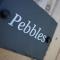 Pebbles King Studio