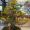 Homestay SALA