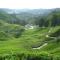 The Quintet Cameron Highlands by Tulip