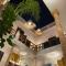 RIAD ESMERALDA By Dar Ouezzani