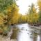 Warm Springs Wonder