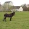 Le Moulin Neuf photo 23