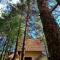 PLANINSKA VILA SMIGIC