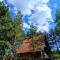 PLANINSKA VILA SMIGIC