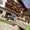 Alpine Touring Hotel-petfriendly