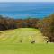 Lorne Groovy Ocean View Log House, Pet Friendly, FREE WIFI wine & chocolates kangaroos in the evening