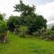 Huge Porch House in Rainforest 15 min from Beach