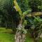 Huge Porch House in Rainforest 15 min from Beach