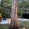 Beach Shack semi detached, 2 Min Walk to Beach - Wattle - بيرل بيتش