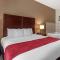 Comfort Inn & Suites - Villa Rica