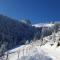 Charming chalet with panoramic view and private parking in Gruyère