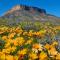 Mountain View Guesthouse - Vanrhynsdorp Mountain View Guesthouse - Vanrhynsdorp