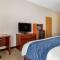 Comfort Inn Downtown - University Area - Kalamazoo