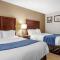 Comfort Inn Kalamazoo - Kalamazoo