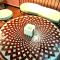 Luxury Riad Saad Fes- Apart