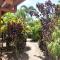 Cooktown Motel
