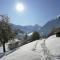 Apartment in Hippach near Mayrhofen Ski Area