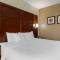 Comfort Inn & Suites Near Six Flags & Medical Center