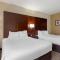 Comfort Inn & Suites Near Six Flags & Medical Center