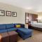 Comfort Inn & Suites Near Six Flags & Medical Center