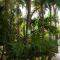 Hostel Oryx Tulum